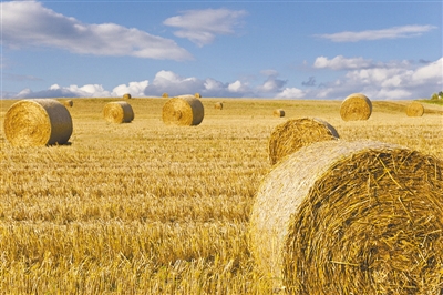  安徽加大政策扶持力度 促进农业废弃物资源化利用 
