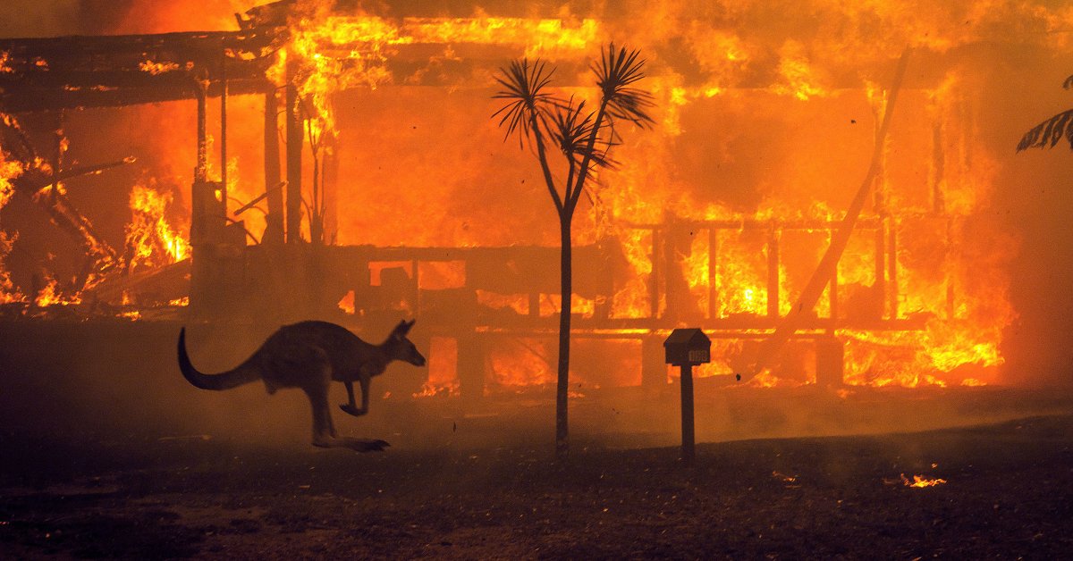 Australia’s Bushfires Show the Wicked, Self-Destructive Idiocy of Climate Denialism Must Stop
