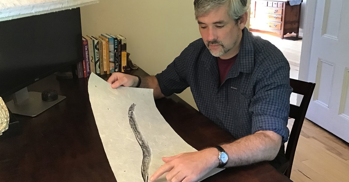 Keeping It Eel: How One Historian Is Using Twitter and Medieval Factoids to Help Endangered Animals