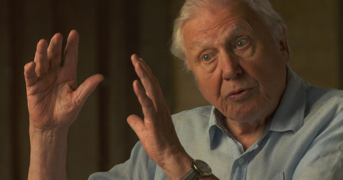 Sir David Attenborough to 60 Minutes: "A crime has been committed"