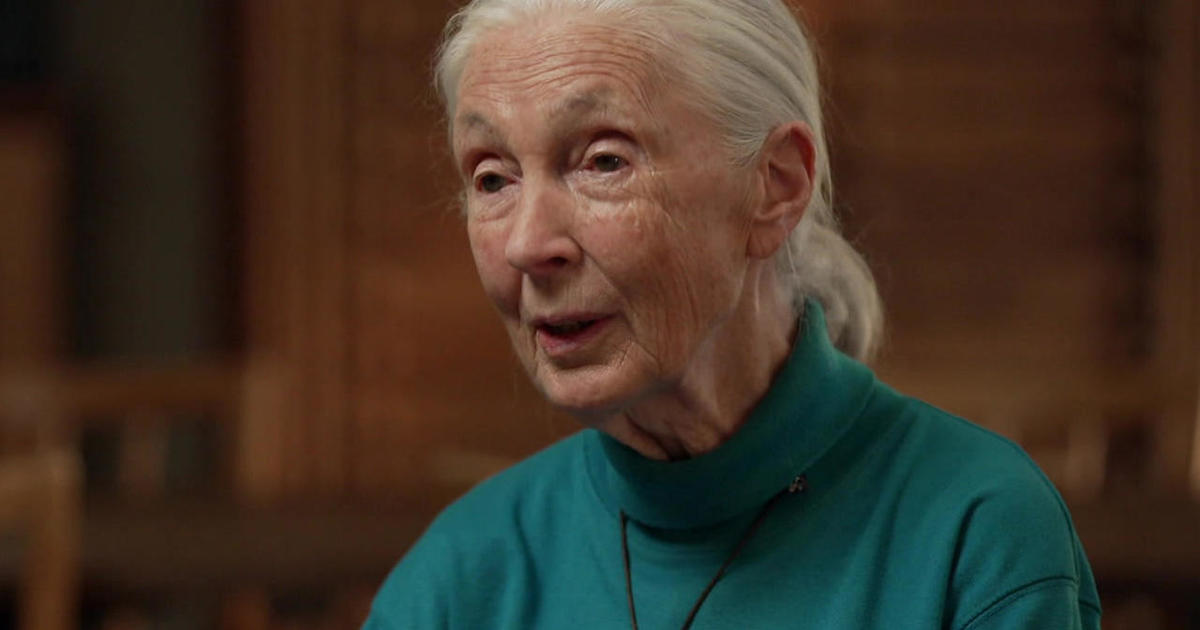 Jane Goodall on her hope for the future