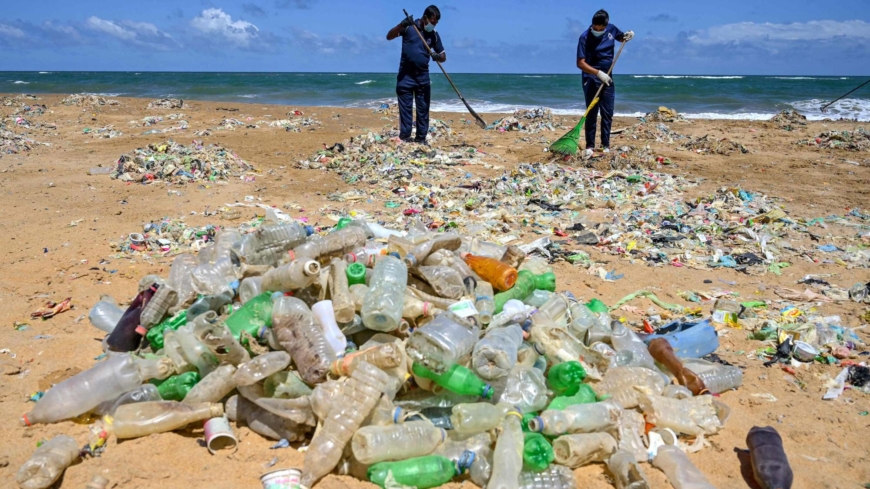 World must work together to tackle marine plastic waste, WWF says