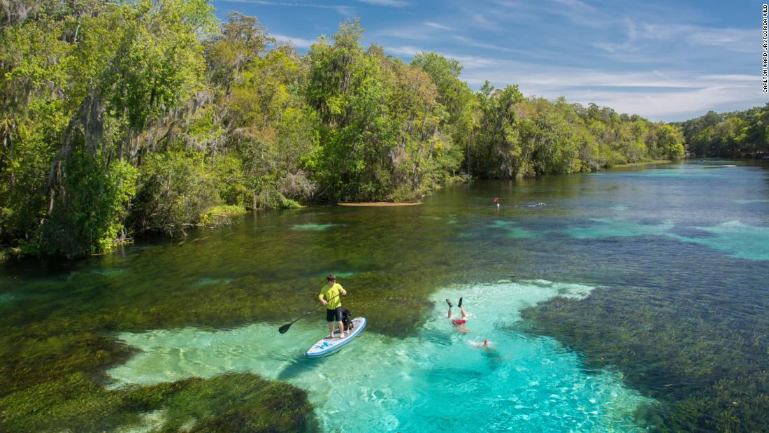 The Florida Wildlife Corridor is nearly 18 million acres of natural wonder. The state just took a significant step to keep it alive