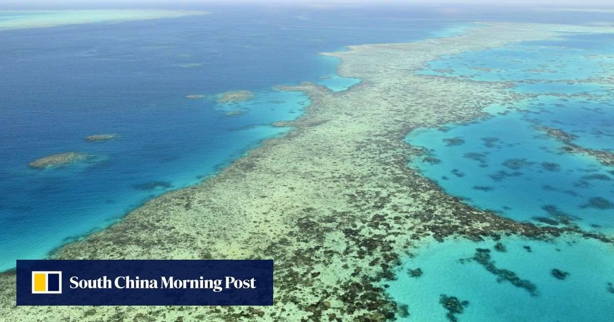 Australia’s Great Barrier Reef suffers widespread coral bleaching