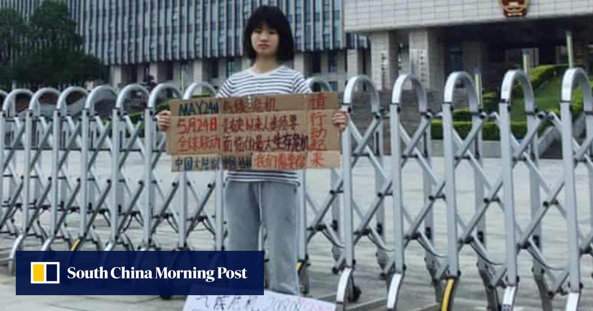 Howey Ou, China’s version of Greta Thunberg, pays price for climate activism