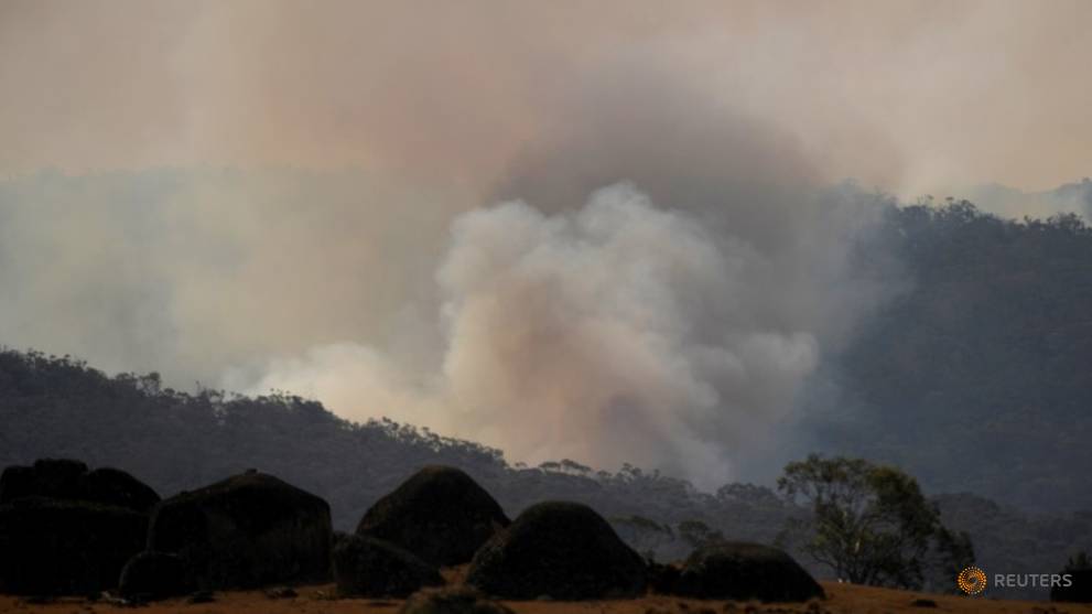 ATP makes US$500,000 donation for Australian bushfire relief