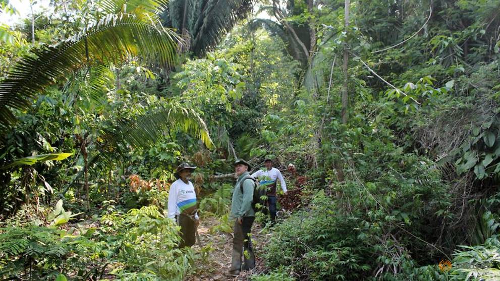 Over 10,000 species risk extinction in Amazon, says landmark report