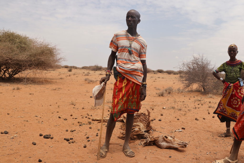Kenya's worst drought in decades creates humanitarian crisis