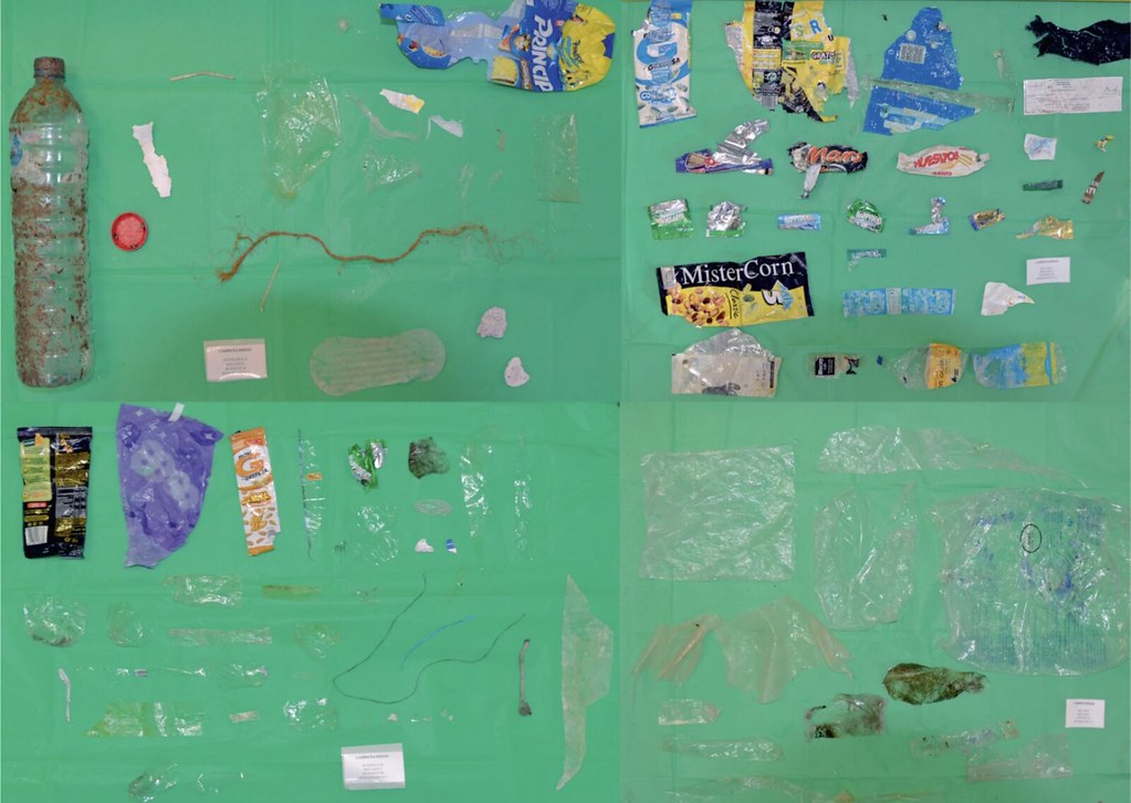 研究：飲食用外帶塑膠容器 占近一半海洋垃圾
