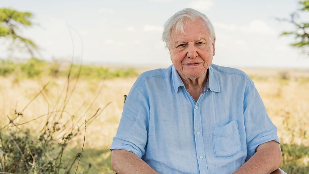Sir David Attenborough spent lockdown 'listening to birds'