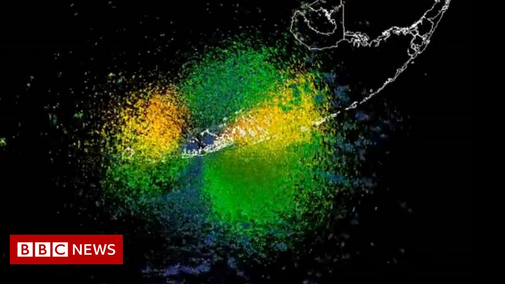 Radar captures huge bird migration over Florida