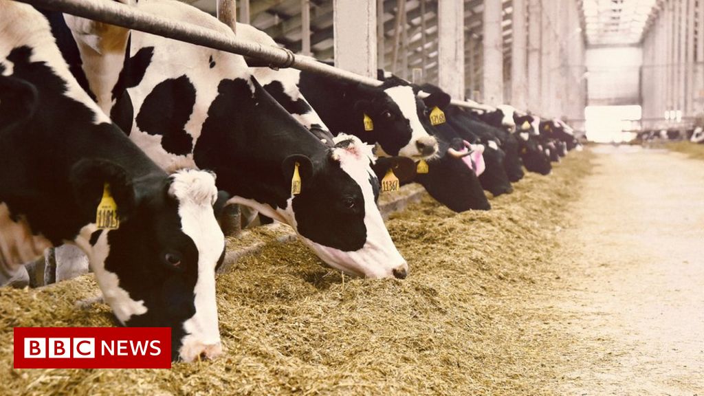Action 'needed now' to cut in farming sector emissions