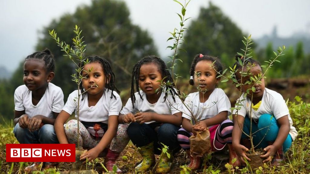 Has Ethiopia planted four billion trees?