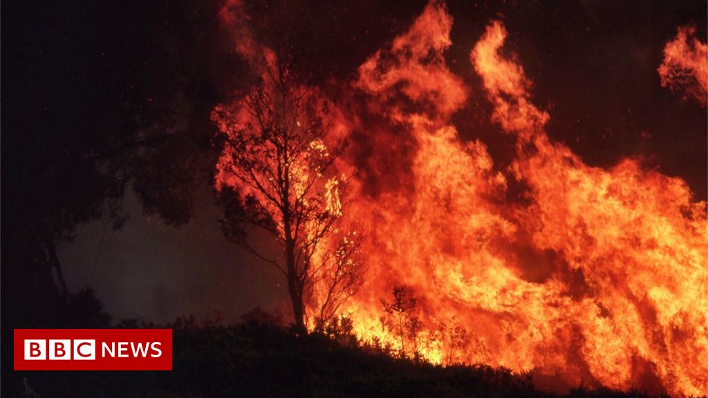 Climate change: Australia fires will be 'normal' in 3C world