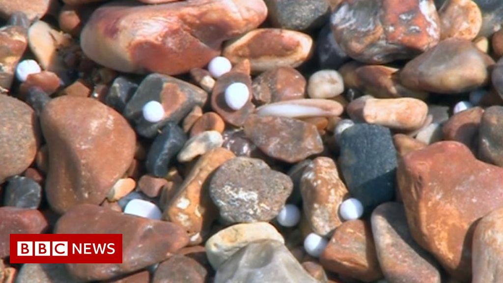 Brighton beach: Call for volunteers as polystyrene balls wash up