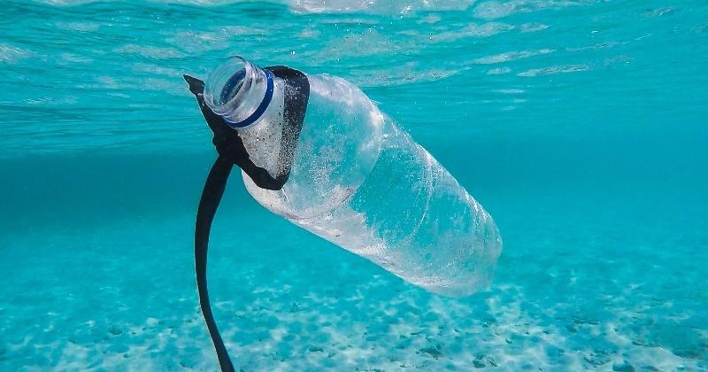 Explained: Why Government Has Allowed Import Of Plastic Waste After Banning It in 2019