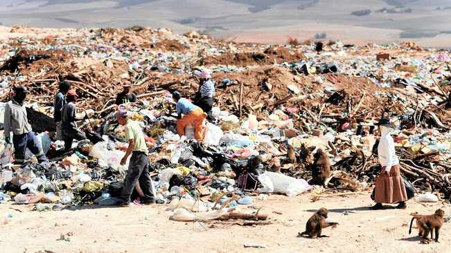 While people starve, much of the food produced in SA goes to waste