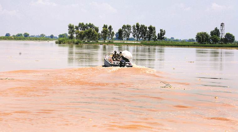 Green activists red-flag project: Pollution board unaware of industrial park near Sutlej, Punjab says committed to keeping river clean