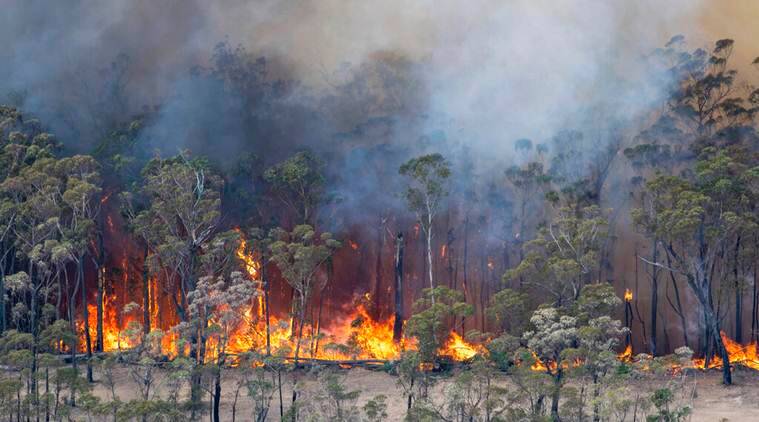 ‘No doubt’ climate change causing wildfires, experts say as Australia burns