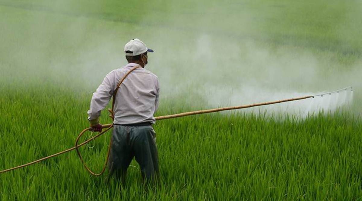 Increasing use of nitrogen fertilisers in global food production jeopardising climate goals: Study