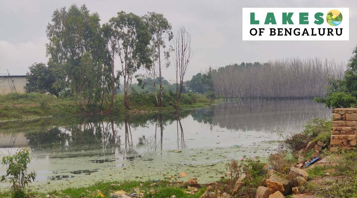 Lakes of Bengaluru: Rapid city expansion choking Kachanayakanahalli lake