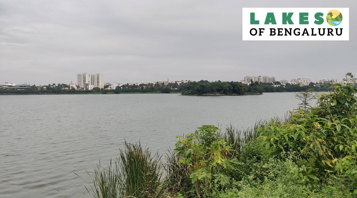 Lakes of Bengaluru: Rachenahalli lake, a lifeline choked by rampant development