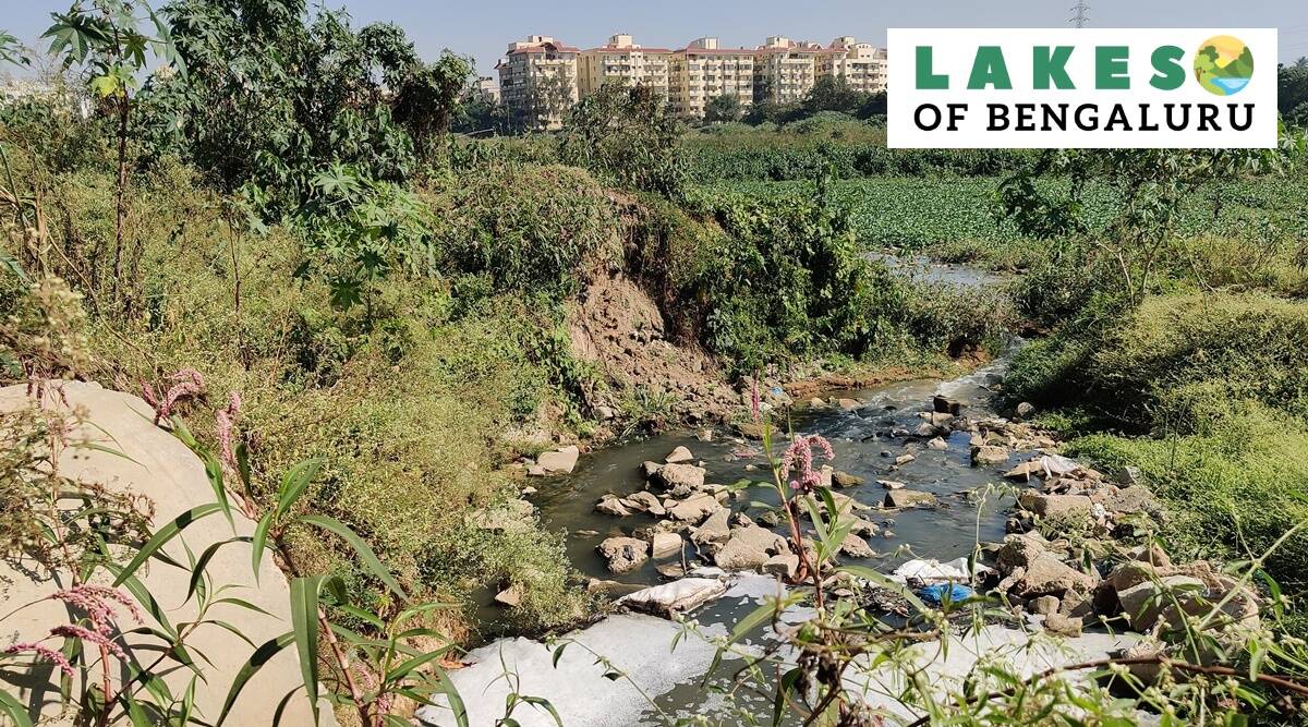 Bengaluru’s Kaggadasapura Lake and the citizens’ constant struggle to restore it