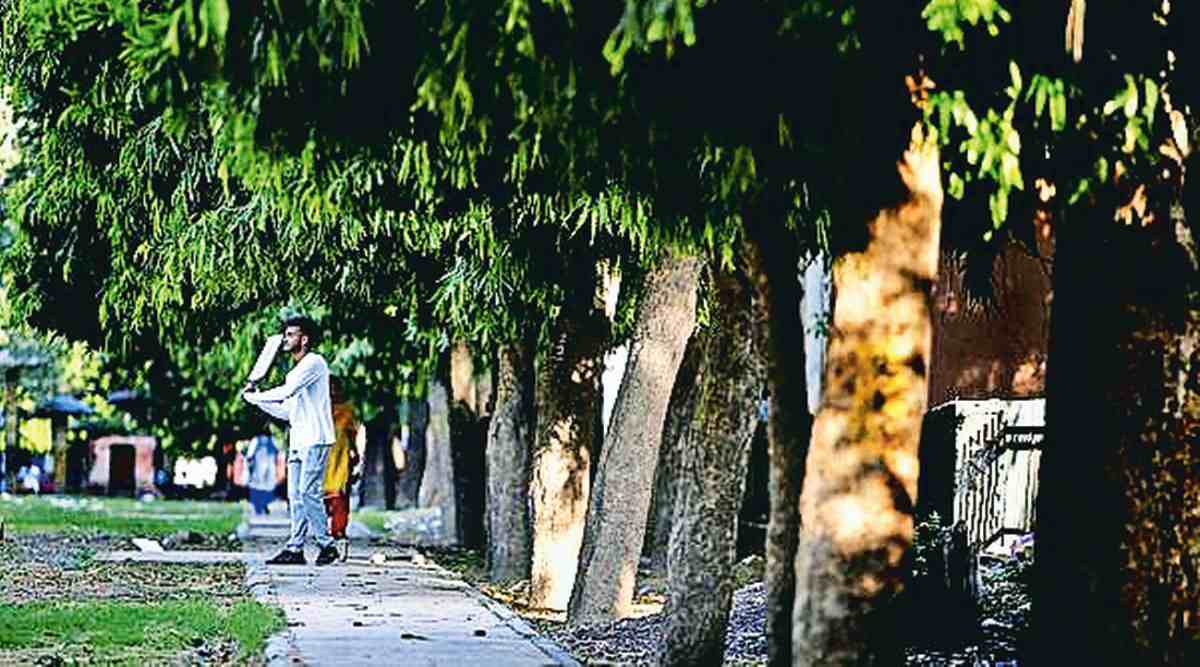 Delhi Biodiversity Council holds first meeting, to prioritise setting up of 4 management committees