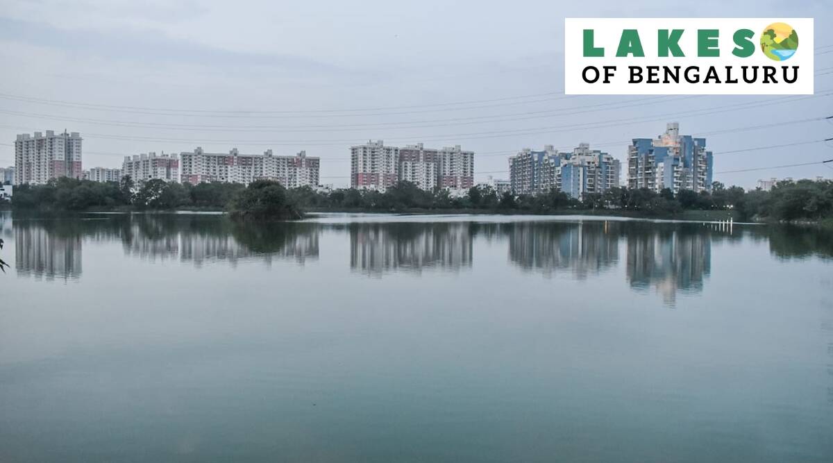 Lakes of Bengaluru: Constant flow of sewage into Haralur Lake causes loss of aquatic life, poses threat to waterbody