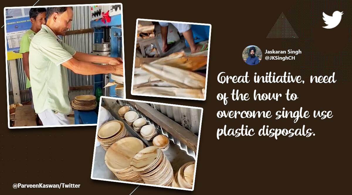 Livelihood + Sustainability: IFS officer shares video of villagers making areca leaf products