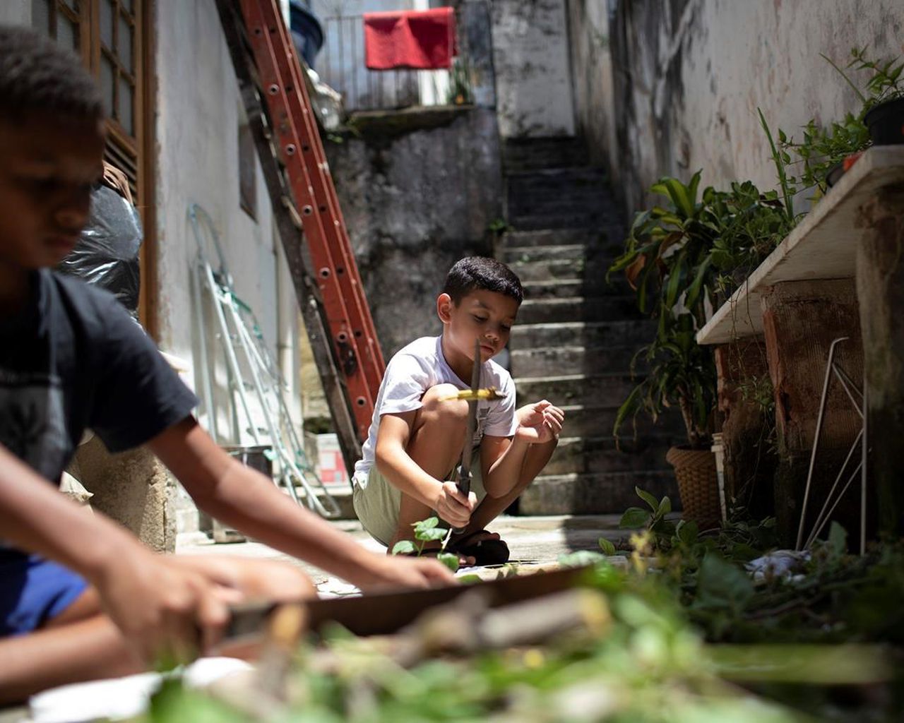 Rio residents try to bring green to a concrete jungle
