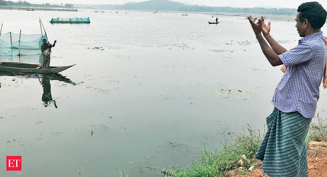 Lease of Life: Once dead, the freshwater lake in Cuttack is now a haven for birds