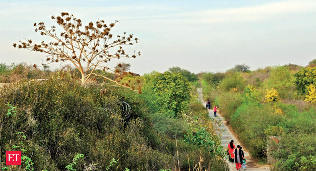 Lease of Life: A 380-acre plot in Gurgaon is now home to hundreds of native trees and bird species