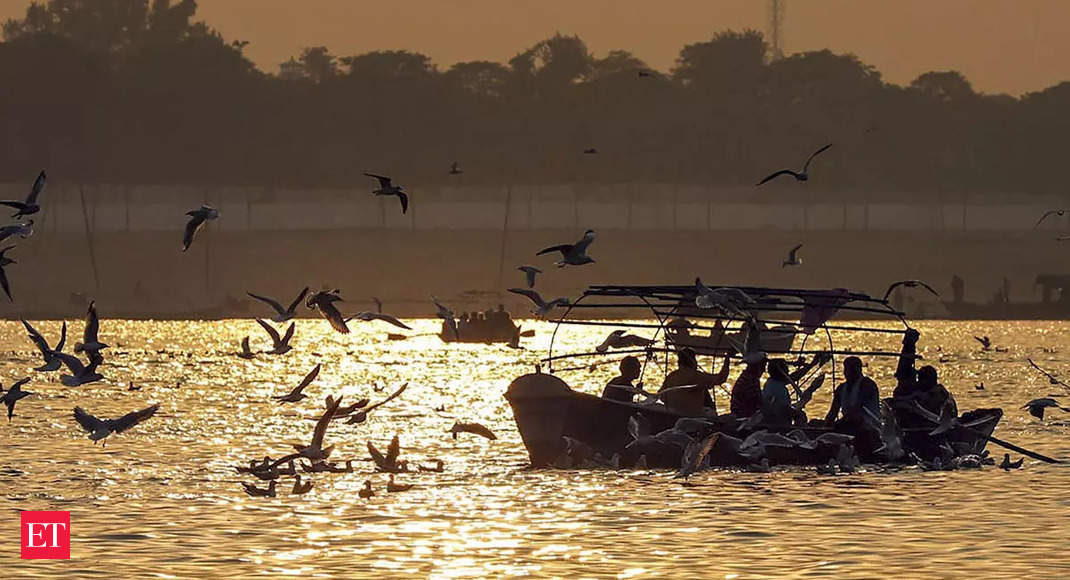 Rejuvenating Ganga can help fight climate change, keep Sundarbans alive: NMCG chief