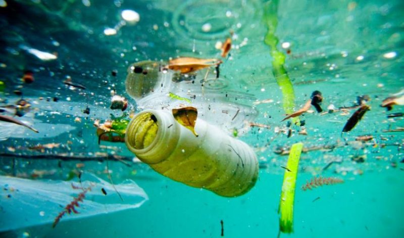 進擊的巨大污染！解析海漂垃圾的全球分布：專訪中研院鄭明修