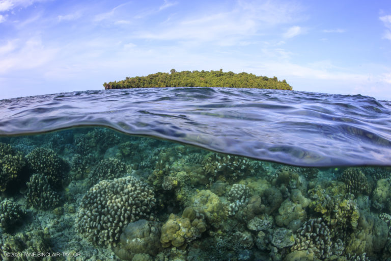 Only ‘A-list’ of coral reefs found to sustain ecosystems, livelihoods