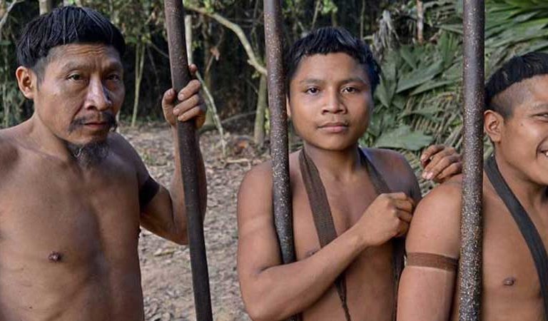 Brazil opens 38,000 square miles of indigenous lands to outsiders