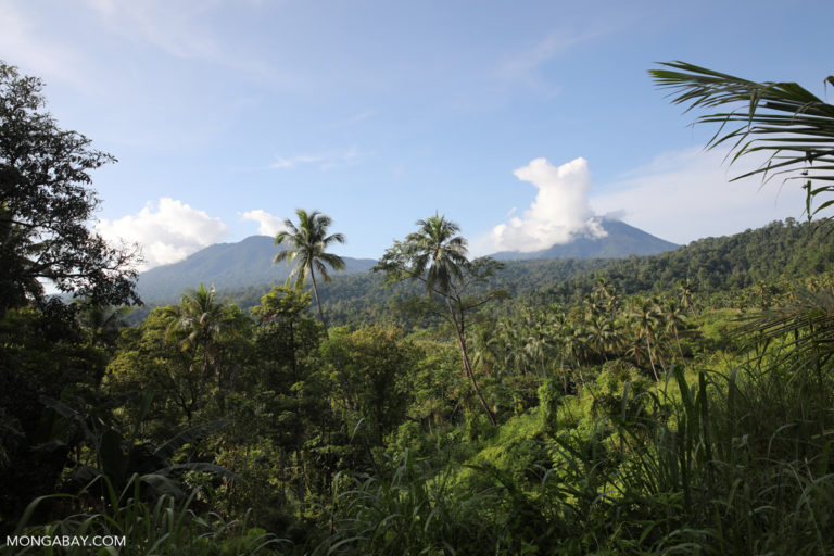 Indonesia bill weakening environmental safeguards to pass in October