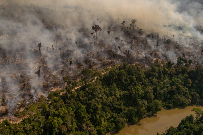 The Amazon savanna? Rainforest teeters on the brink as climate heats up
