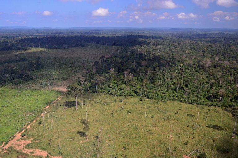 Bigger is badder when it comes to climate impact of farms in the Amazon