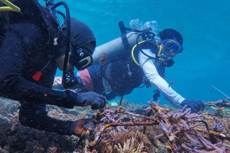 Community-led coral restoration project is rare hit amid slew of misses in Indonesia