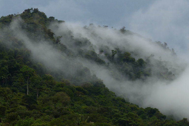 Illegal mining threatens one of the last forest links between the Andes and Ecuador’s Amazon