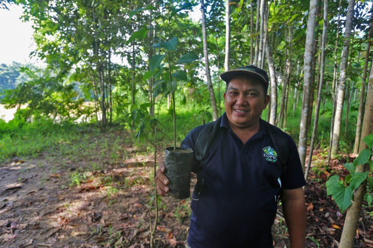 Mongabay’s new-look Reforestation.app makes finding the right tree-planting project easier