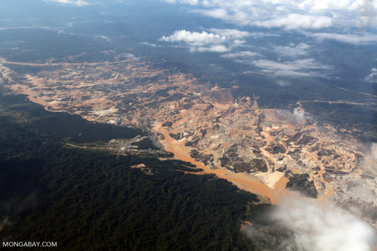Peru’s Amazon rainforest is threatened by an ecosystem of environment crime (commentary)