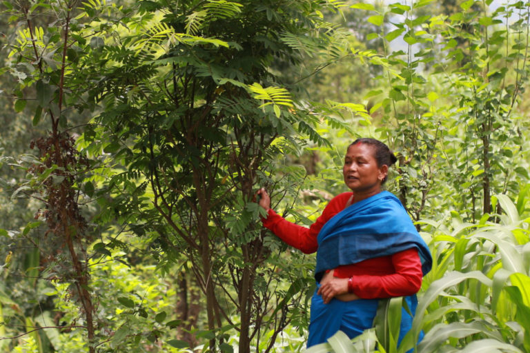 EU’s anti-deforestation trade rule should be more women-friendly (commentary)