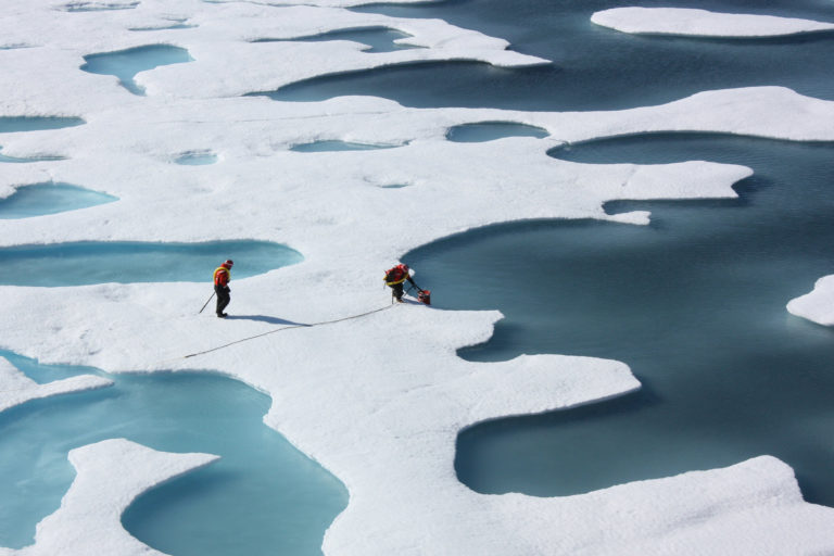 Arctic sea ice loss to increase strong El Niño events linked to extreme weather: Study