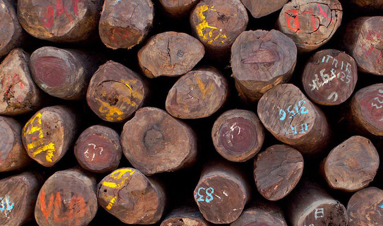 Will CITES finally act to protect rosewood this month? (commentary)