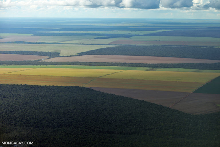 Despite 11% drop in 2022, Amazon deforestation rate has soared under Bolsonaro