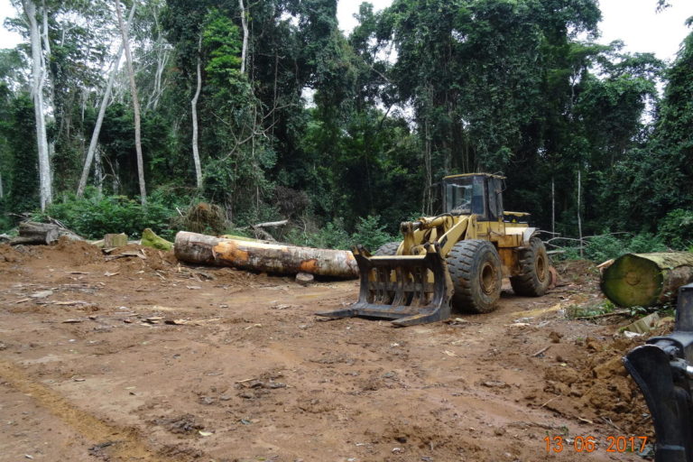 Forests & Finance: Certification for deforesters, and repression for an evicted community