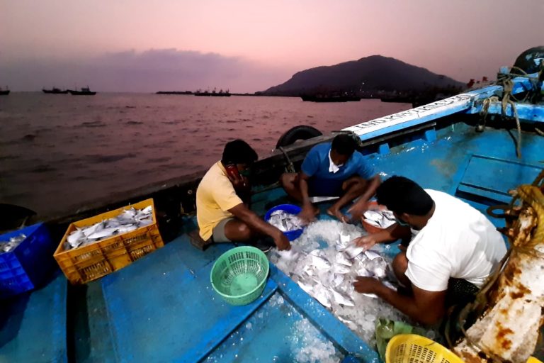 How Mumbai’s fishers adapted in the lockdown, kept their sales alive